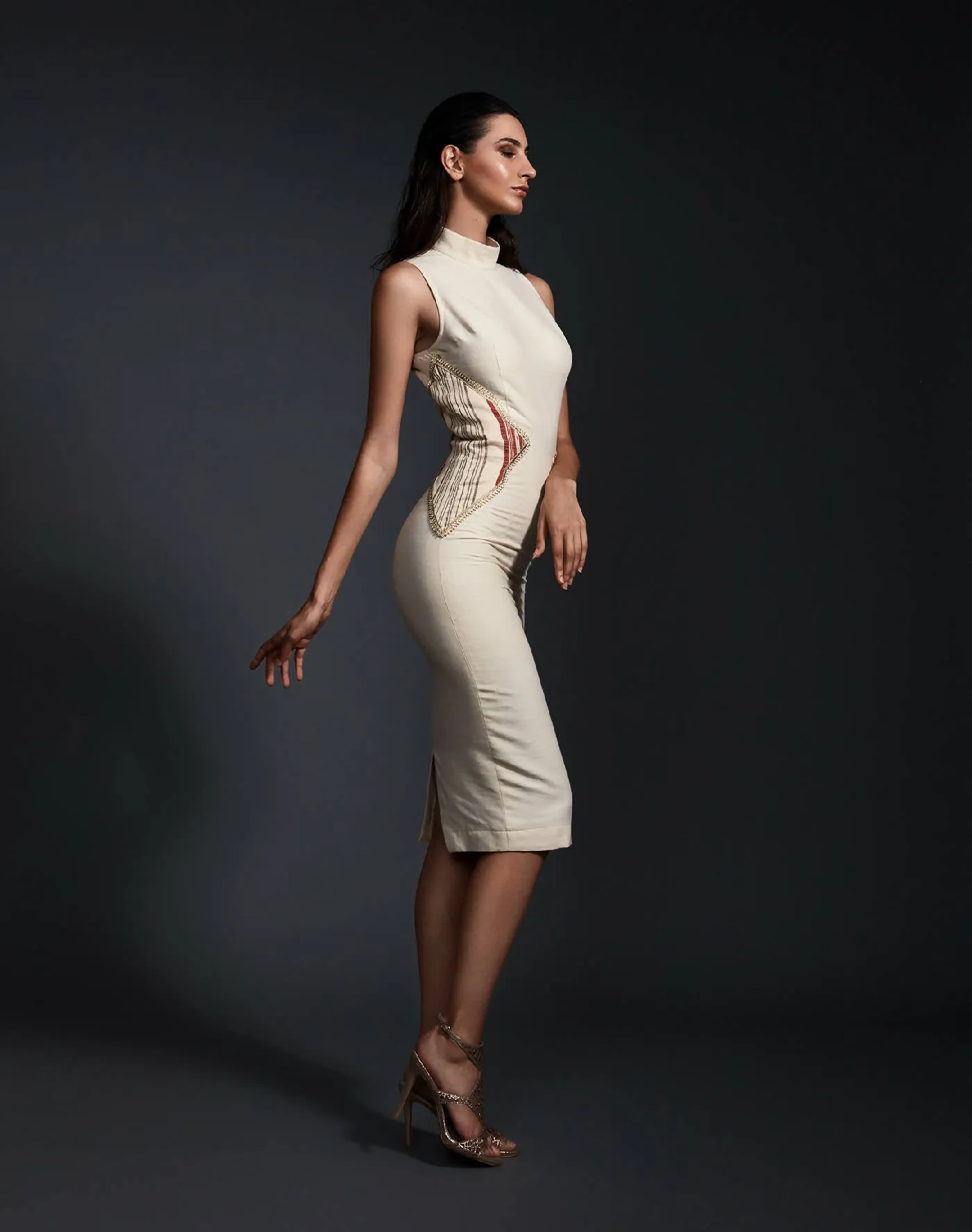 Bodycon Dress with Mandarin Collar