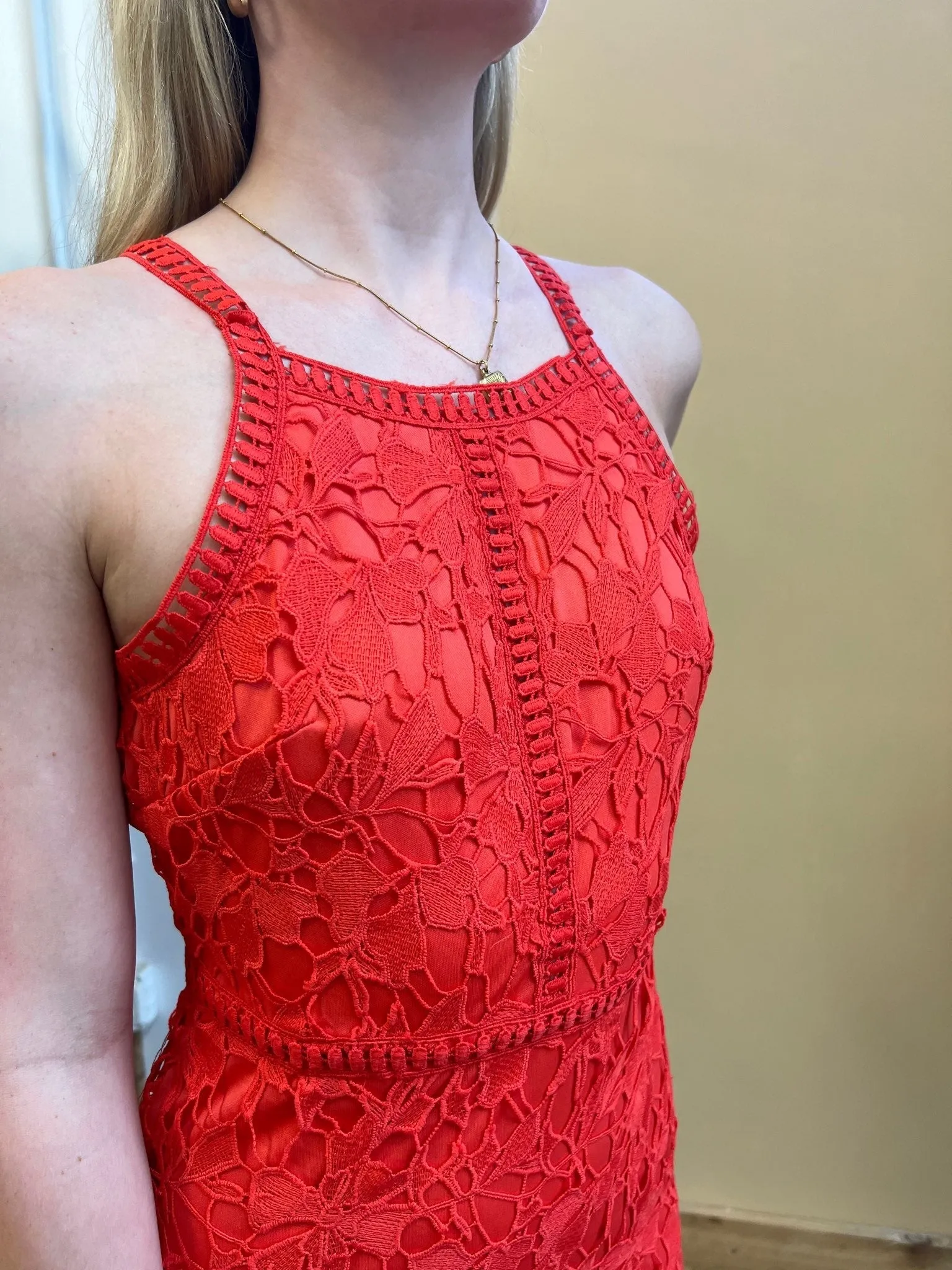 Like Roses Lace Dress